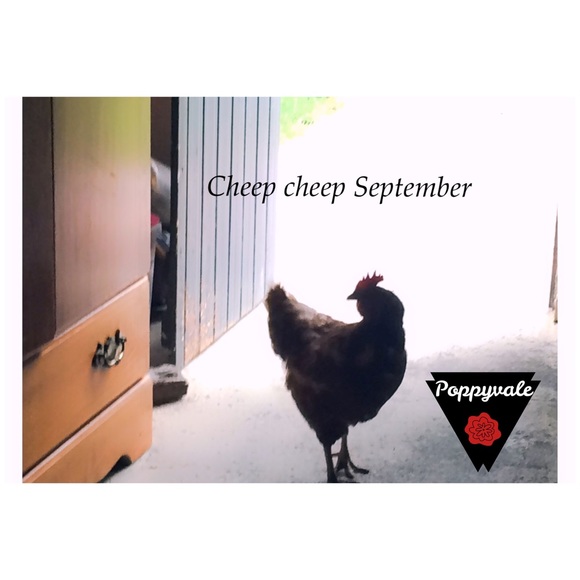 $10 SALE Elasticised Bracelet with Beads - Picture 2 of 6